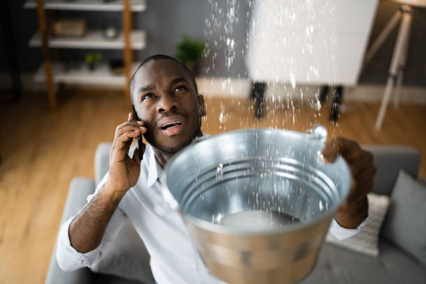 Best Water damage cleanup near me  in Bemiss, GA