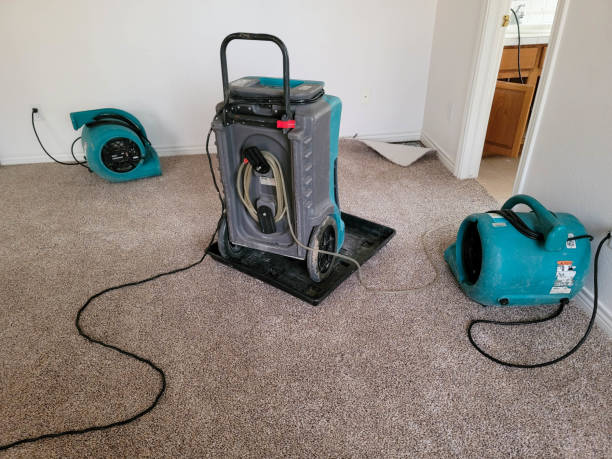 Best Ceiling water damage repair  in Bemiss, GA