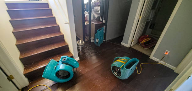 Best Flood restoration services  in Bemiss, GA