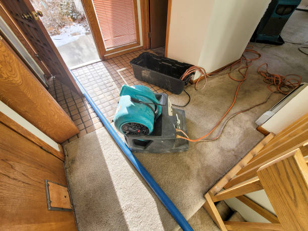 Best Water damage restoration near me  in Bemiss, GA