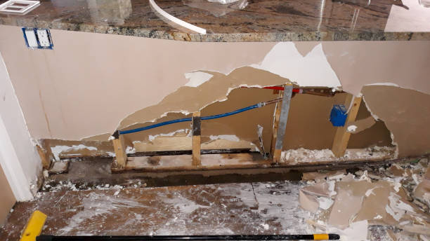 Best Local water damage restoration  in Bemiss, GA