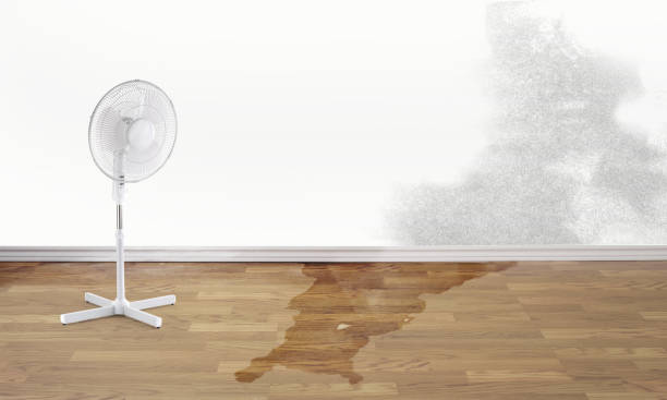 Best Water damage restoration near me  in Bemiss, GA