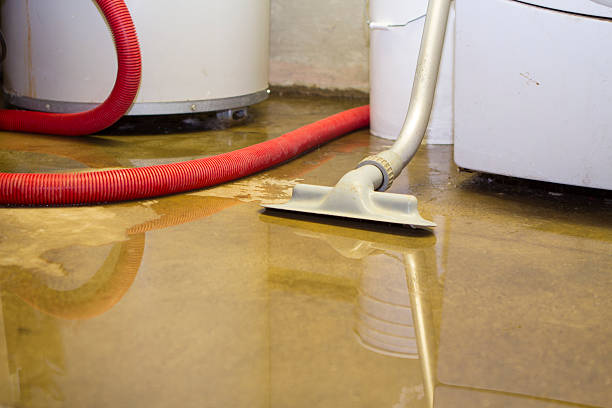 Best Emergency water extraction  in Bemiss, GA