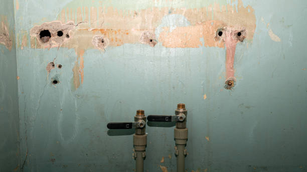  Bemiss, GA Water damage restoration Pros