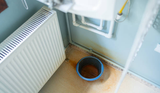 Best Basement water damage restoration  in Bemiss, GA
