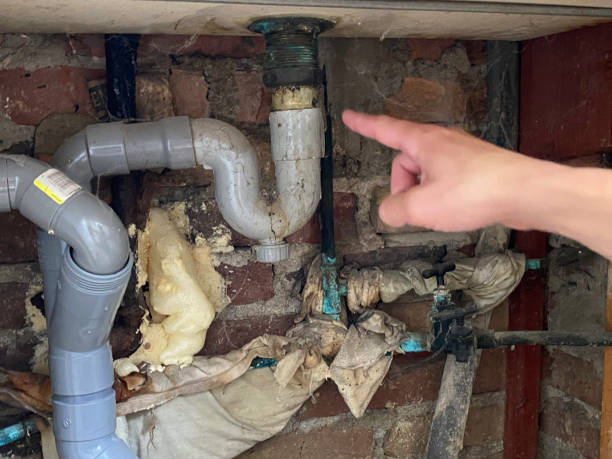 Best Professional water damage repair  in Bemiss, GA