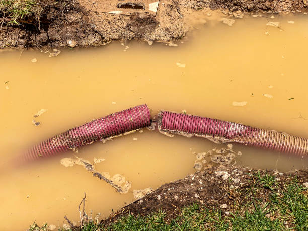 Best Flood damage cleanup  in Bemiss, GA