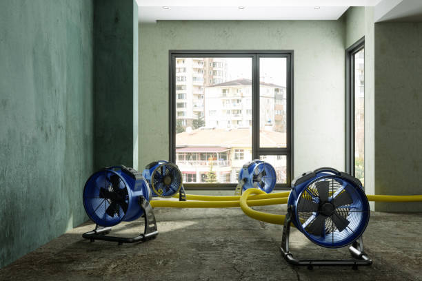 Best Sewage cleanup and water damage restoration  in Bemiss, GA