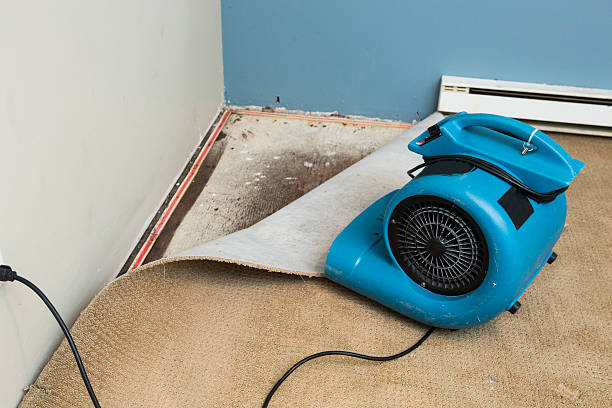 Water damage restoration mold remediation in GA
